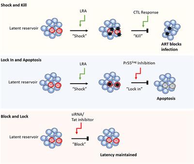 Measuring the Success of HIV-1 Cure Strategies